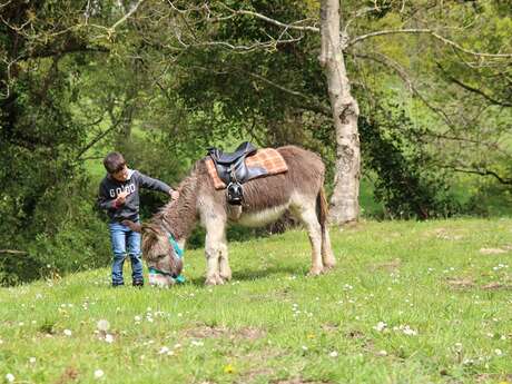 Avec mon âne, je pars planter mon pommier
