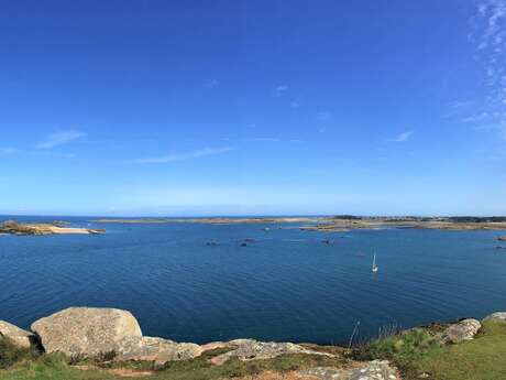 Îles et rivages de Trébeurden et l'Île-Grande en bateau