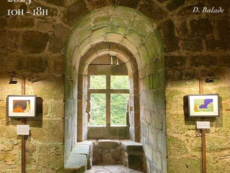 Exposition & jeu d'énigme au Château de Tonquédec