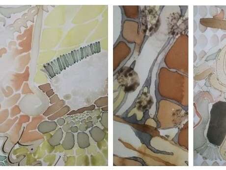 Karine Le Meur - Peinture