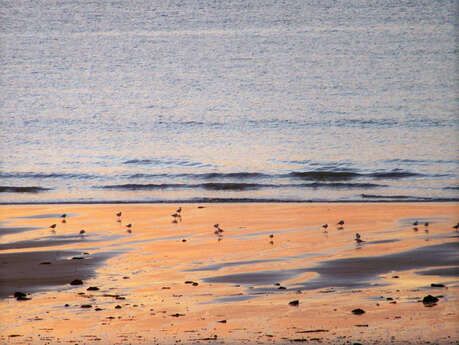 Plage de Landrellec