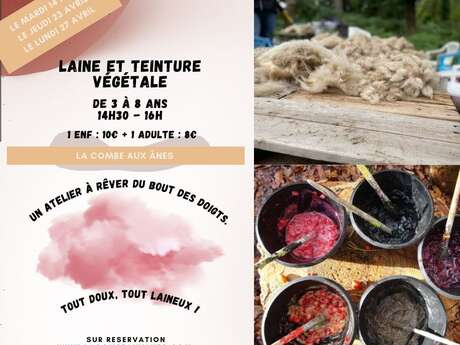 Laine et teinture végétale