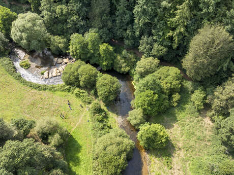 Le fabuleux destin du saumon atlantique