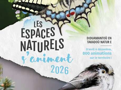 Paréidolies dans le granite