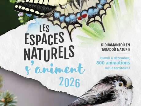 À l'écoute des oiseaux au crépuscule