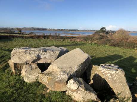 Visite commentée de l'exposition : Mégalithes du Trégor, quand les pierres racontent la (pré)histoire