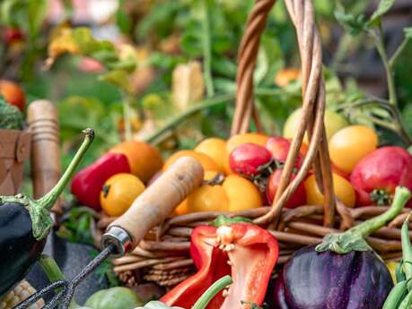 Planning your vegetable garden