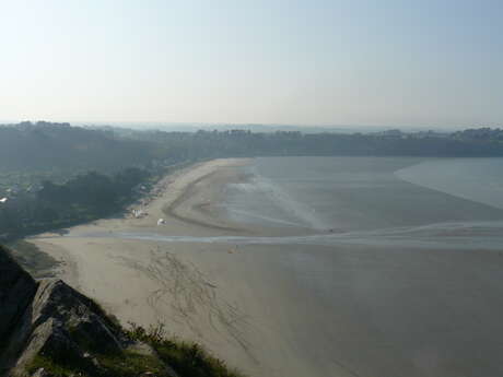 Journée mondiale des zones humides - Les oiseaux hivernants de la Lieue de Grève