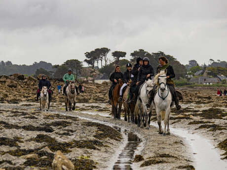 Pardon aux chevaux de Saint Gildas