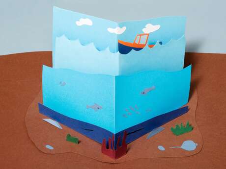 Découverte du pop-up