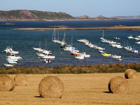 Mouillage du Port du Royau