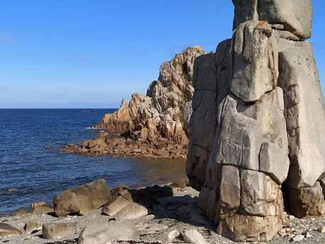 Plage et coquillages