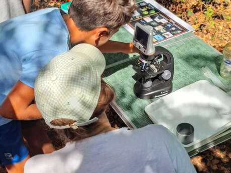 Le plancton à la loupe