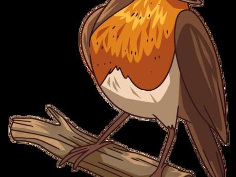 Balade sonore à l’écoute des oiseaux Balade sonore à l’écoute des oiseaux