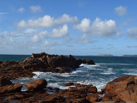 "Requin", entre mythes et réalités- (Ploumanac'h)