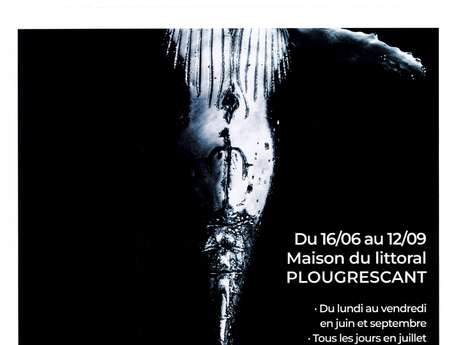 Immersion monochrome - Photographie