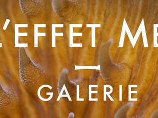 Galerie L'Effet Mer - Photographie