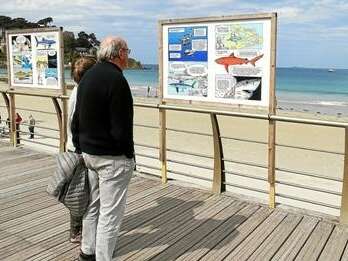 Festival de la bande dessinée