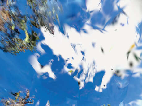 Seuil critique de Thomas Daveluy et Guillaume Lepoix