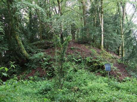 Beffou, motte ou pas motte ?