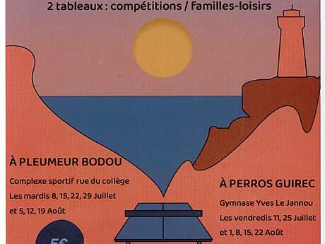 Stages d'été - Tennis de table