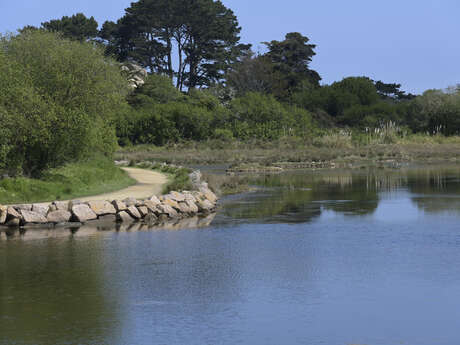 Promenade accessible - Le lac des cygnes