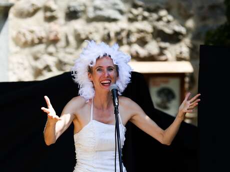 Festival Place aux Mômes: " Un lac des cygnes " de la compagnie Oleïa