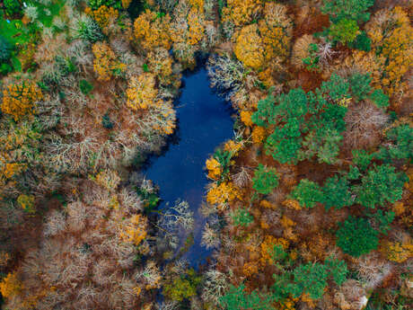 Vallée des Traouïéro