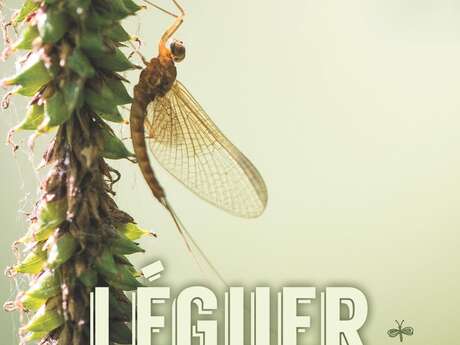 Loc-Envel un village entre nature et histoire
