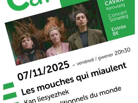 Les Mouches qui miaulent Les Mouches qui miaulent