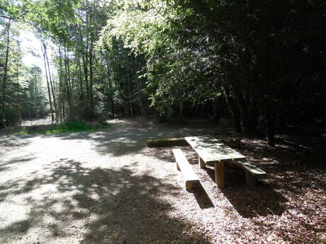 Aire de la maison forestière de Beffou