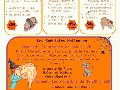 Halloween avec Animalie