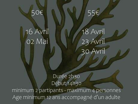 Ateliers linogravure & encre