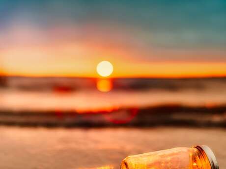 Le solstice d'été, tout comprendre