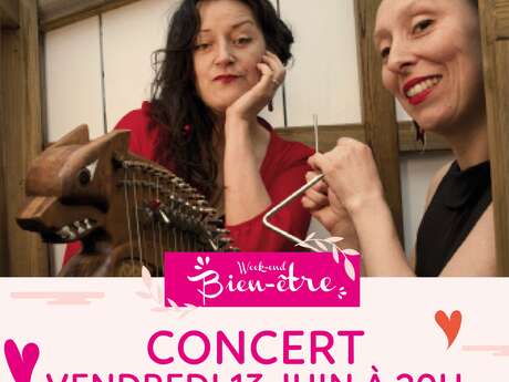 Concert du duo "BMX"