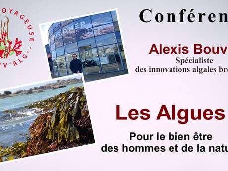 Les algues pour le bien-être des hommes et de la nature