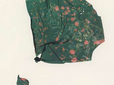 Photofolie - Coline Jourdan