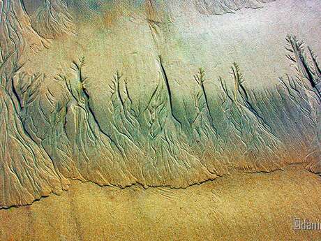 Photographies de Daniel Mell