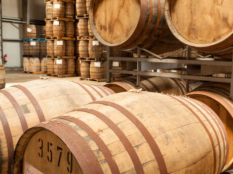 Visite Immersion de la distillerie Warenghem | Whisky Armorik
