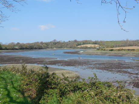 L'estuaire du Bizien