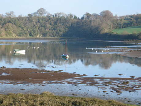 Journée mondiale des zones humides - Les oiseaux de l'estuaire du Bizien