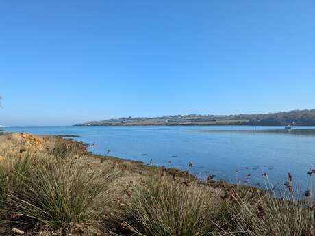 L'estuaire du Jaudy