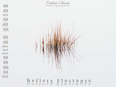 Reflets flottants - Photographies - Léguer en fête