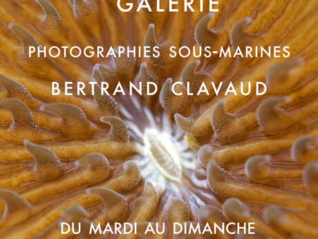Galerie L'Effet Mer - Photographie