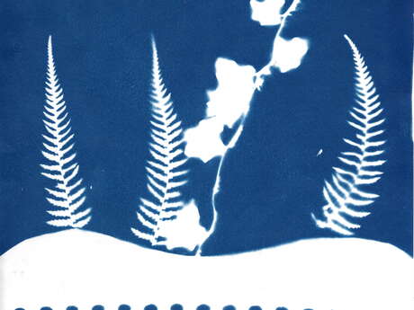 Graines de rivières sauvages - Cyanotypes et poésies - Léguer en fête