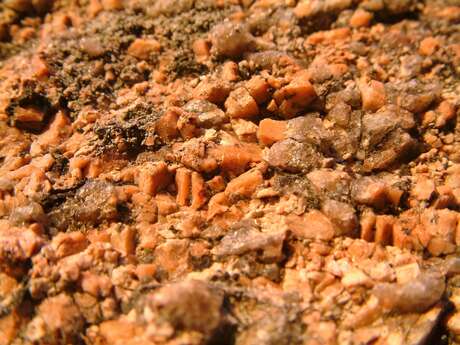 Rencontre avec les géologues