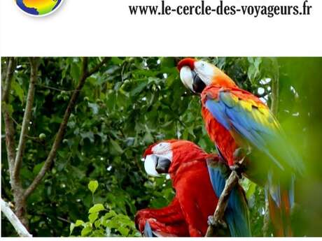 Guyane – Une pépite en Amazonie