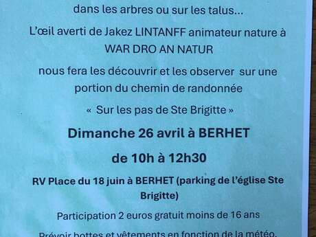 Ouvrons l’œil et découvrons la nature en bord de chemin…