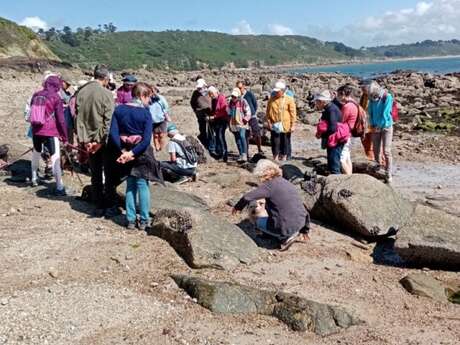 Les roches les plus anciennes de France