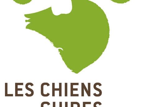 Les chiens guides d'aveugles des Côtes d'Armor